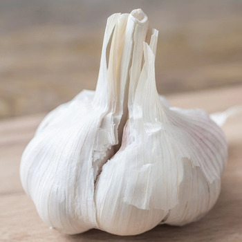 The Olive Basin Garlic Olive Oil