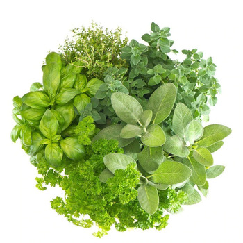 The Olive Basin Italian Herbs of Naples Balsamic Vinegar