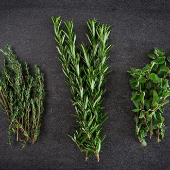 The Olive Basin Tuscan Herb Olive Oil
